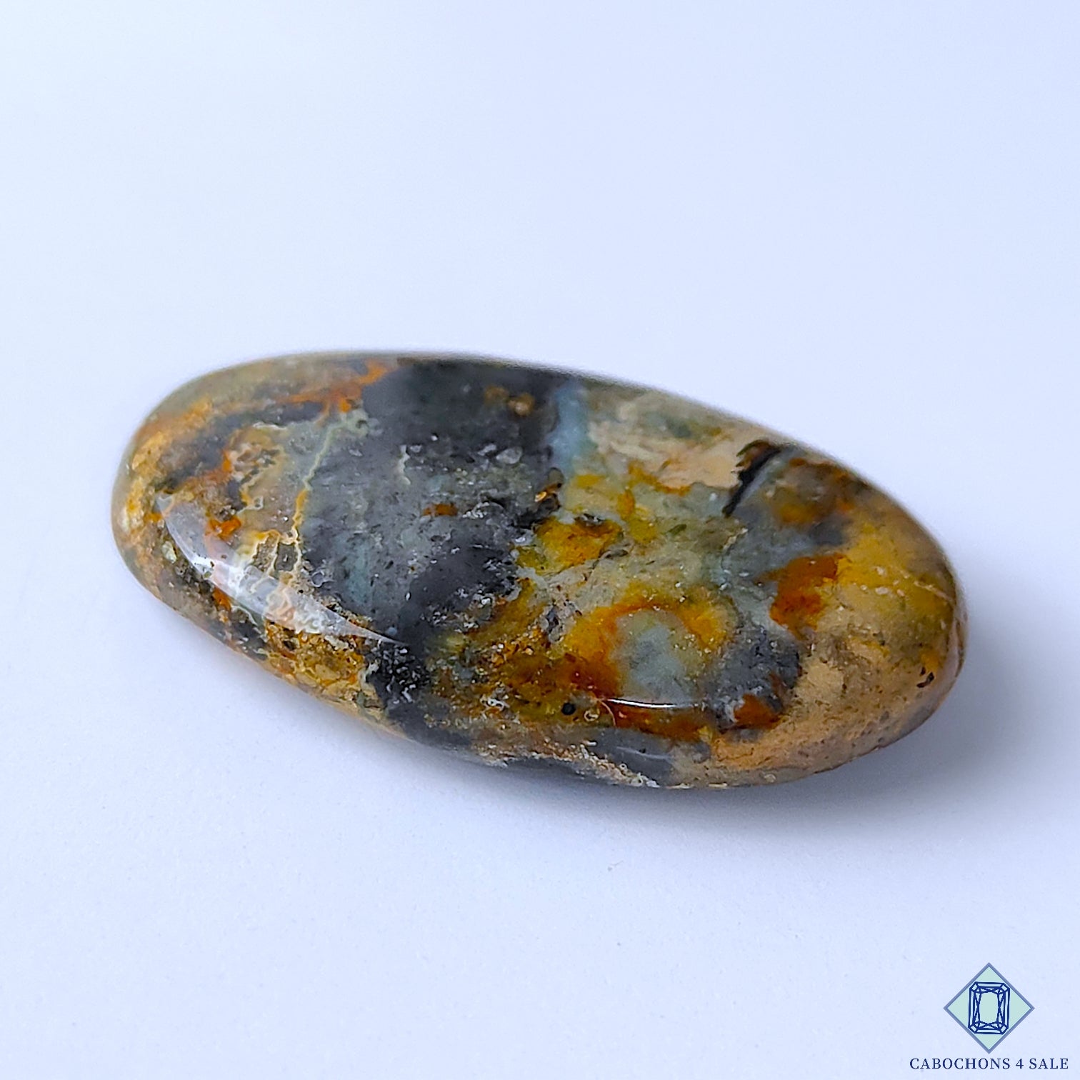 Palm Root Agate