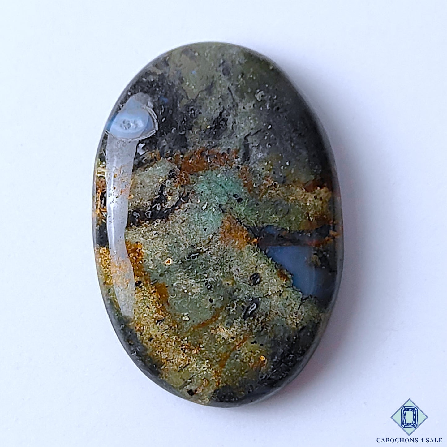 Palm Root Agate