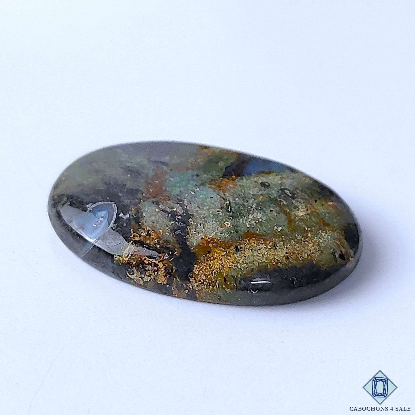 Palm Root Agate