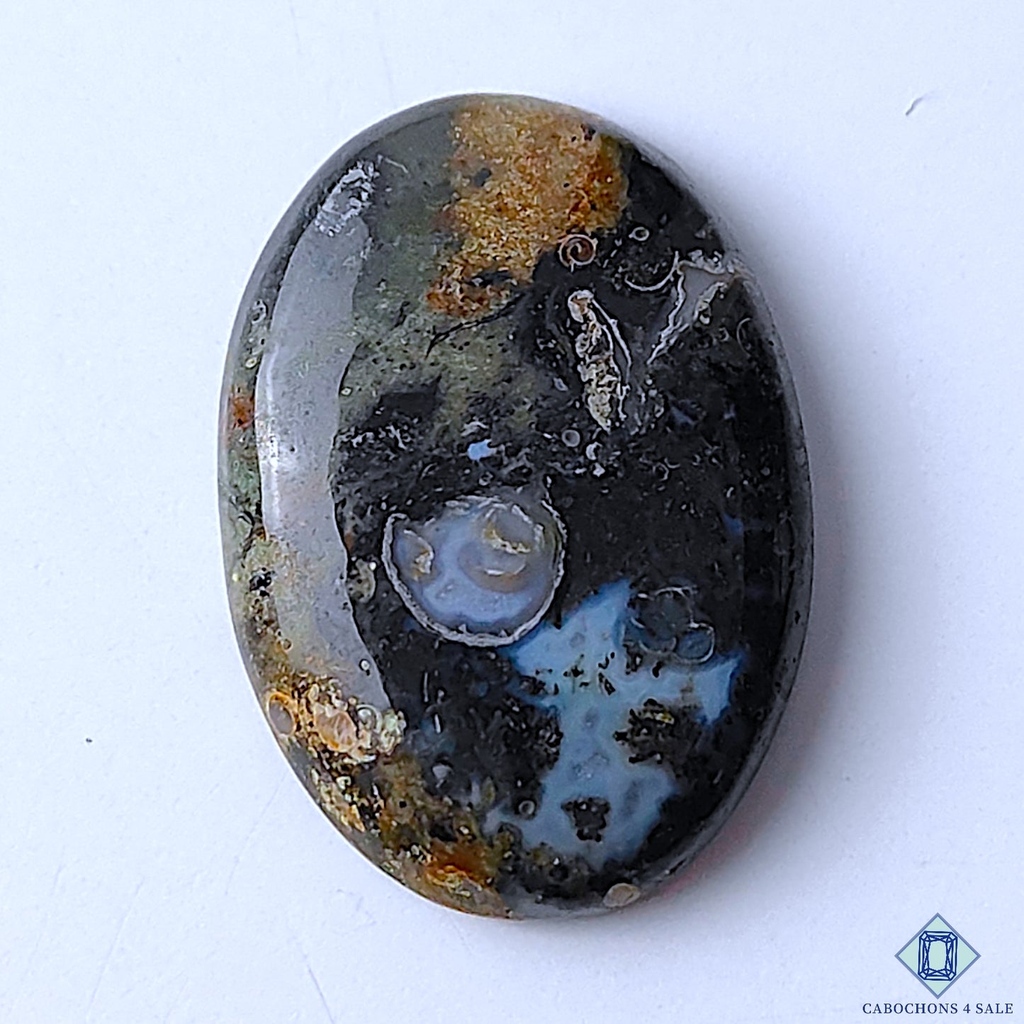 Palm Root Agate