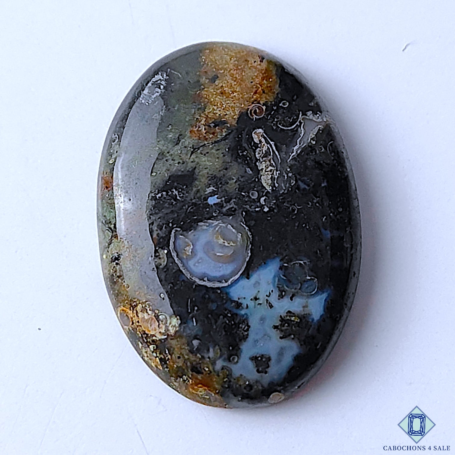 Palm Root Agate