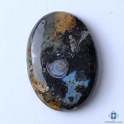 Palm Root Agate