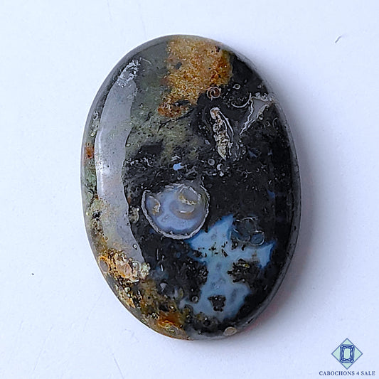 Palm Root Agate