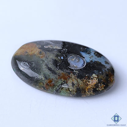 Palm Root Agate