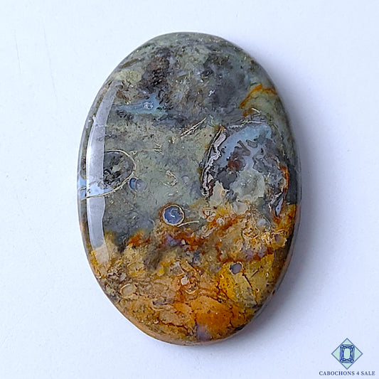 Palm Root Agate