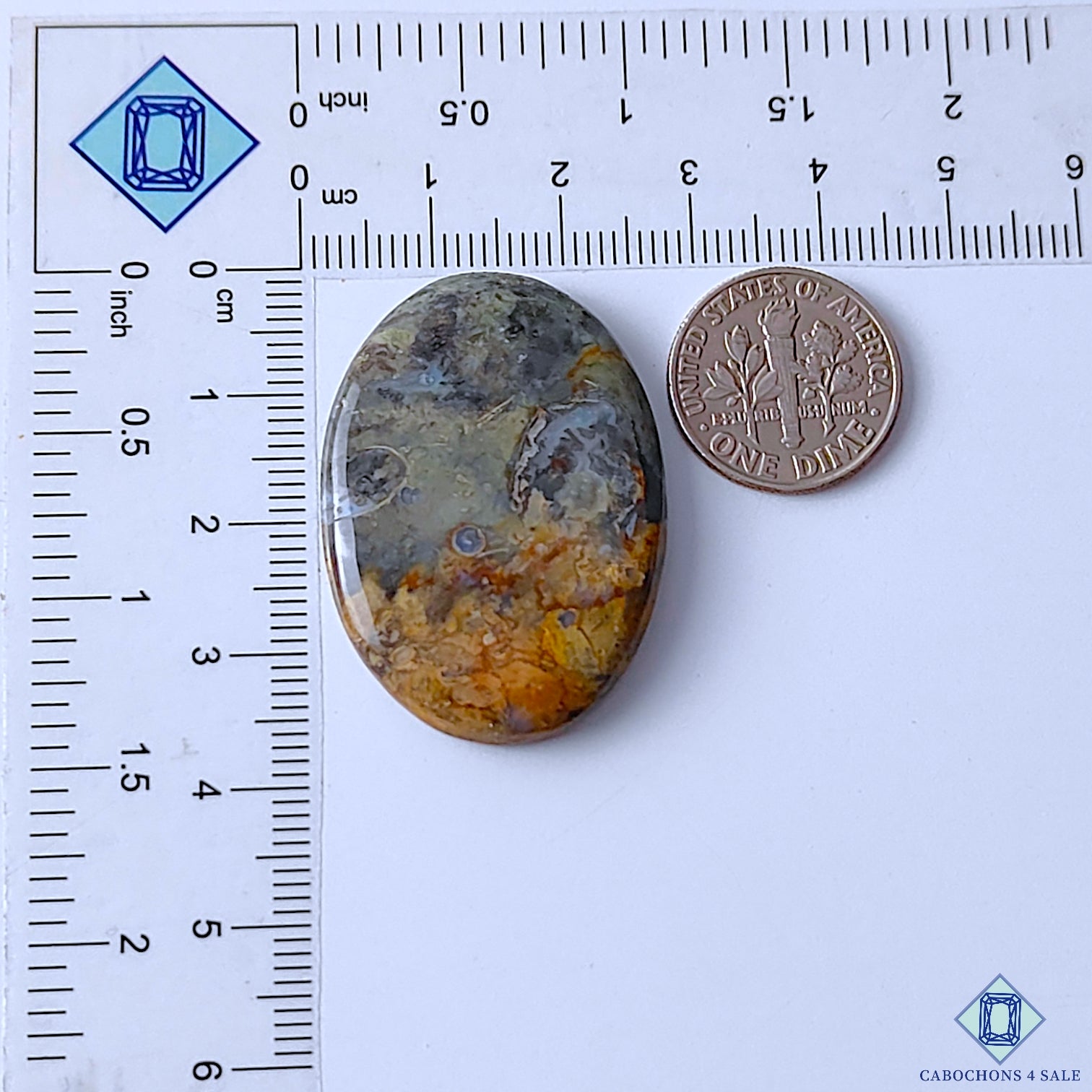 Palm Root Agate