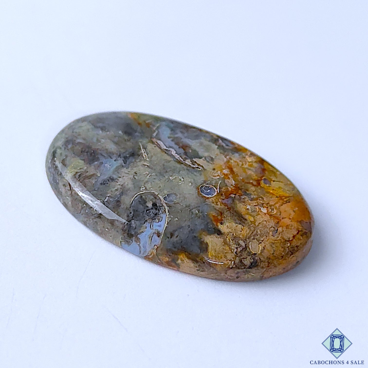Palm Root Agate