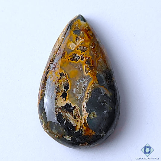 Palm Root Agate
