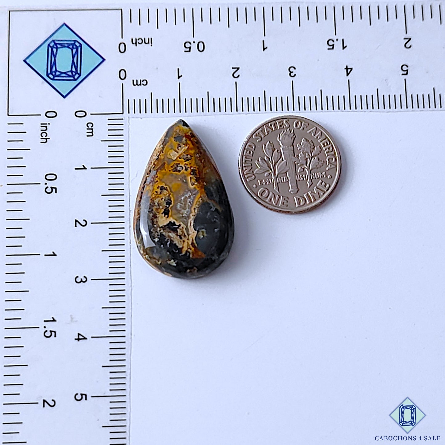 Palm Root Agate