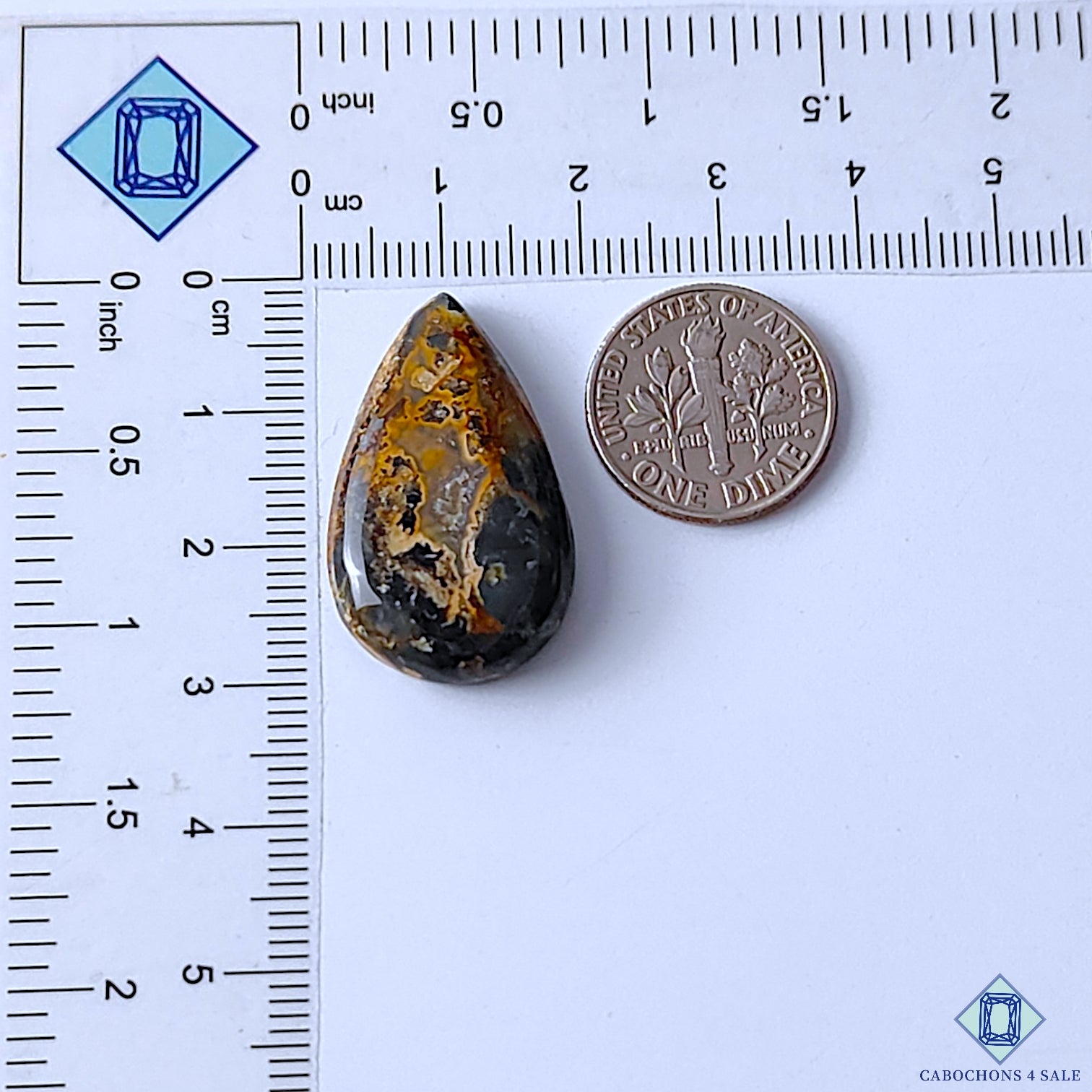 Palm Root Agate