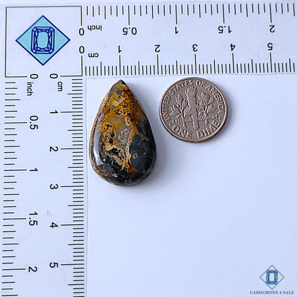 Palm Root Agate
