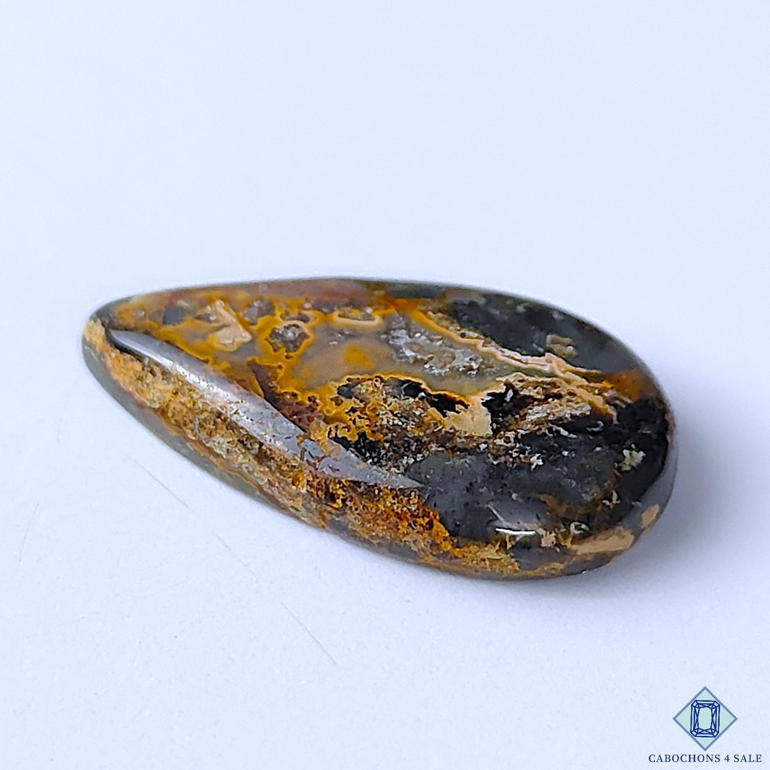 Palm Root Agate