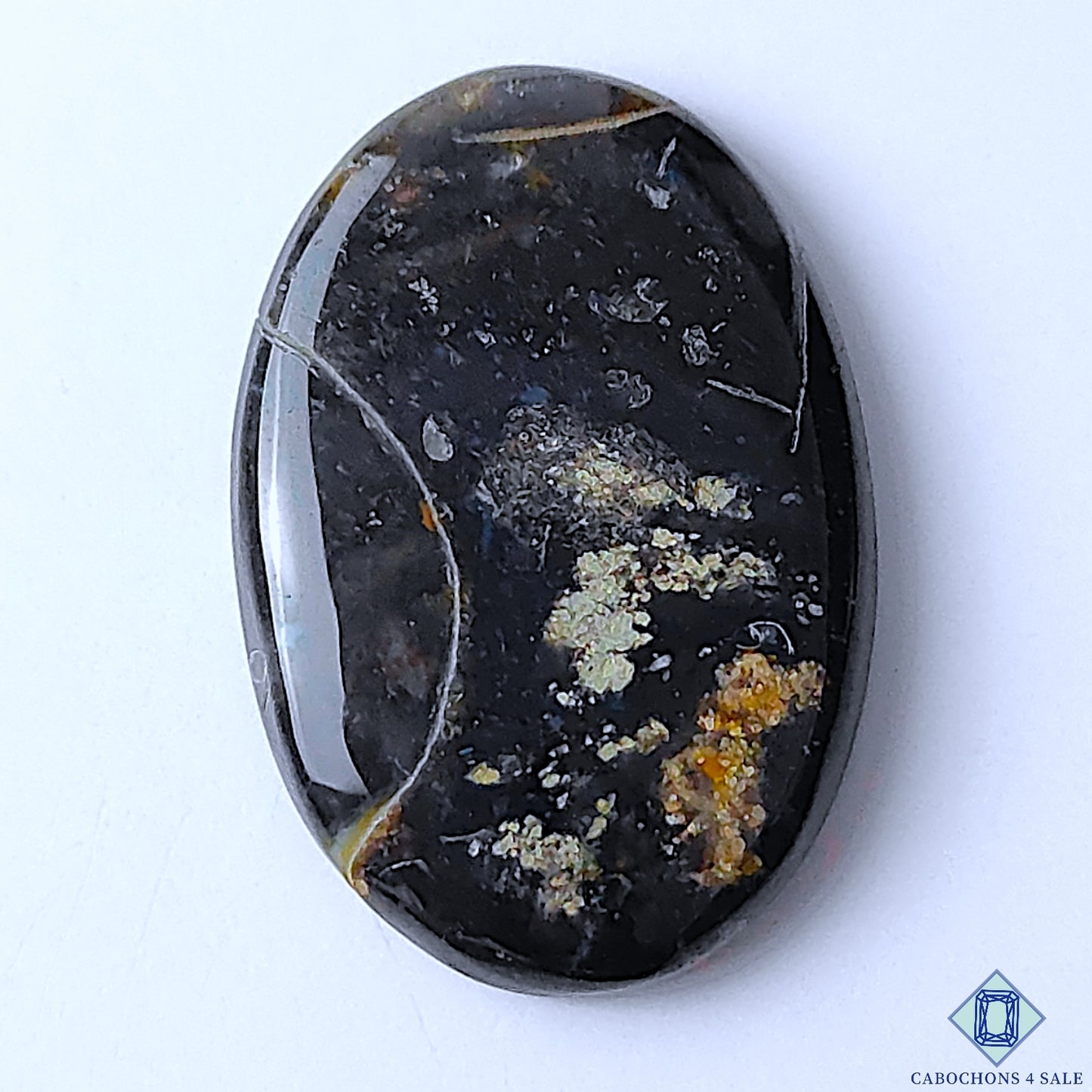 Palm Root Agate
