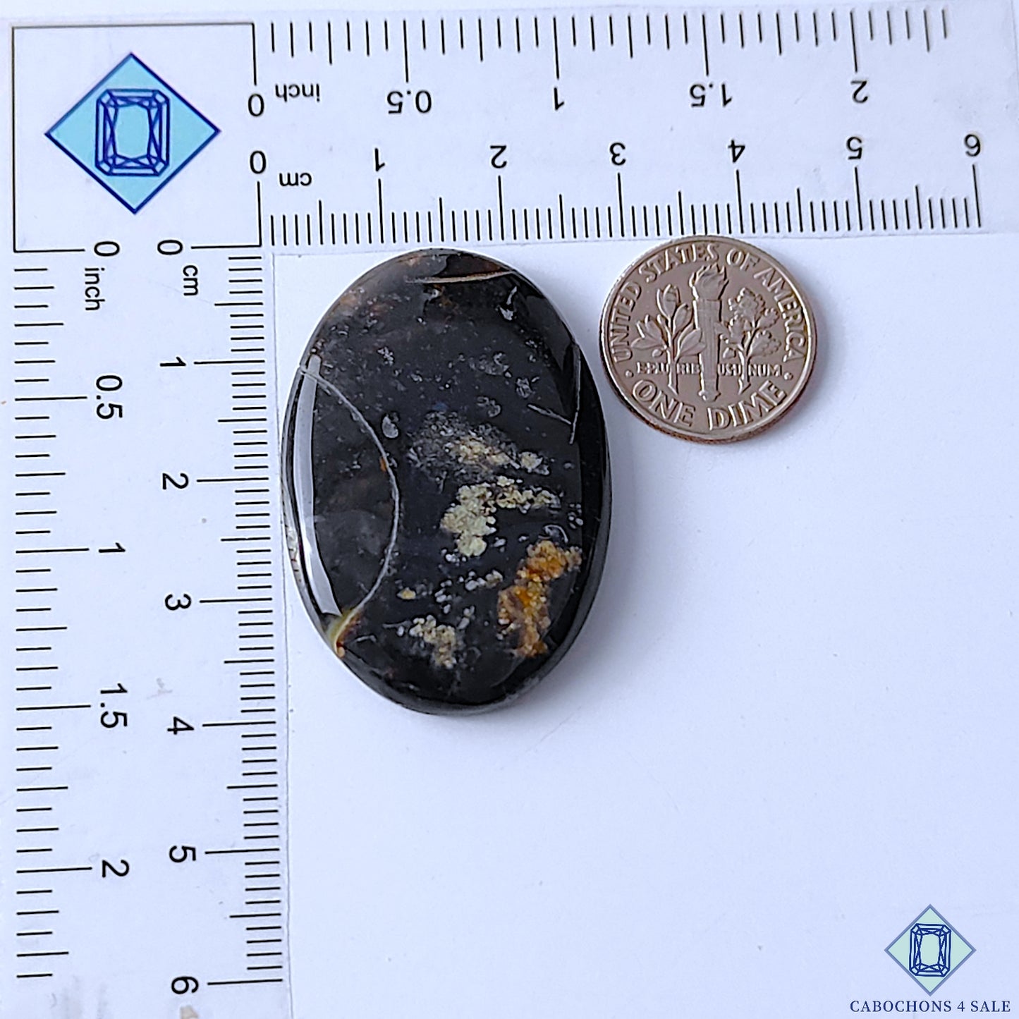 Palm Root Agate