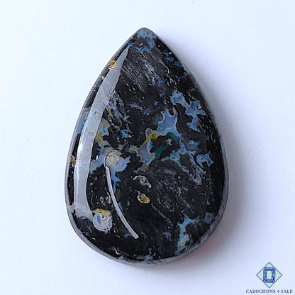 Palm Root Agate