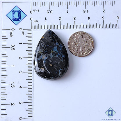 Palm Root Agate