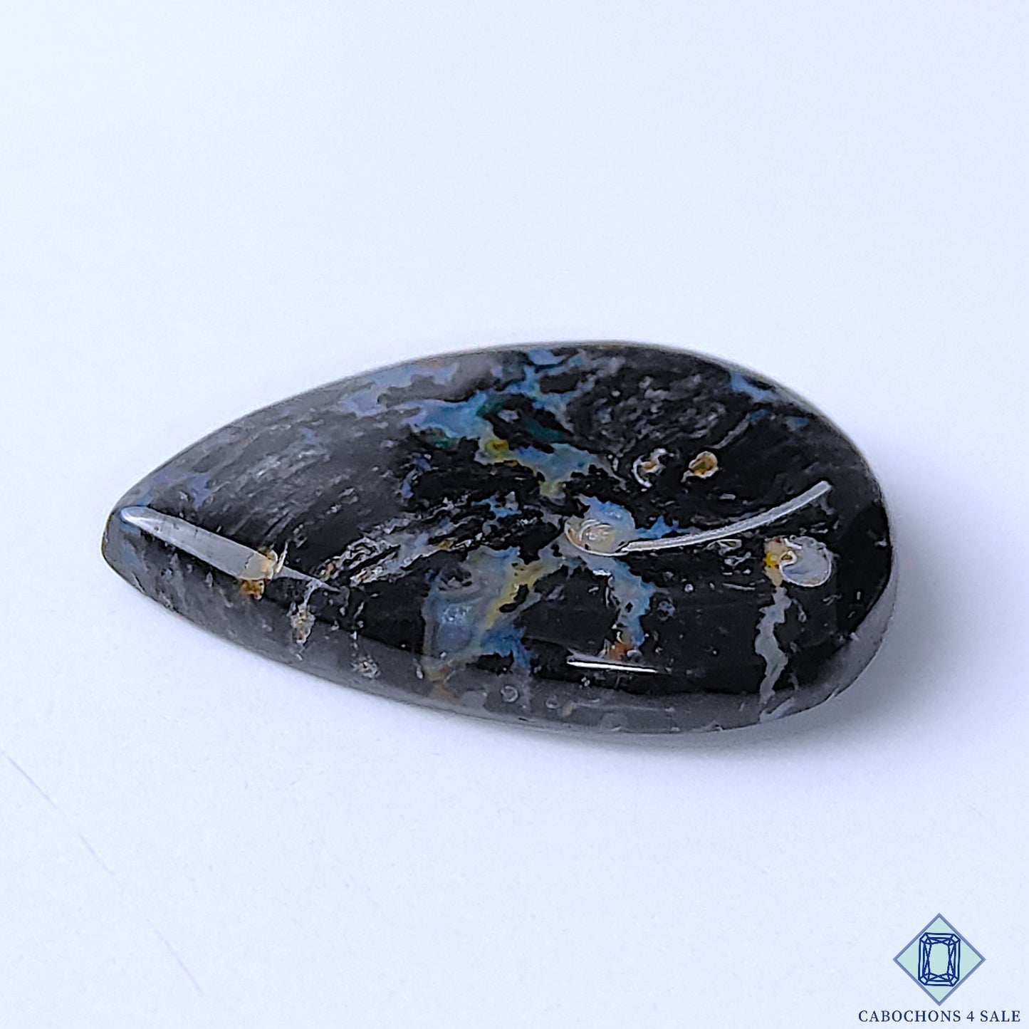 Palm Root Agate