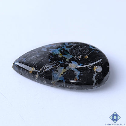 Palm Root Agate