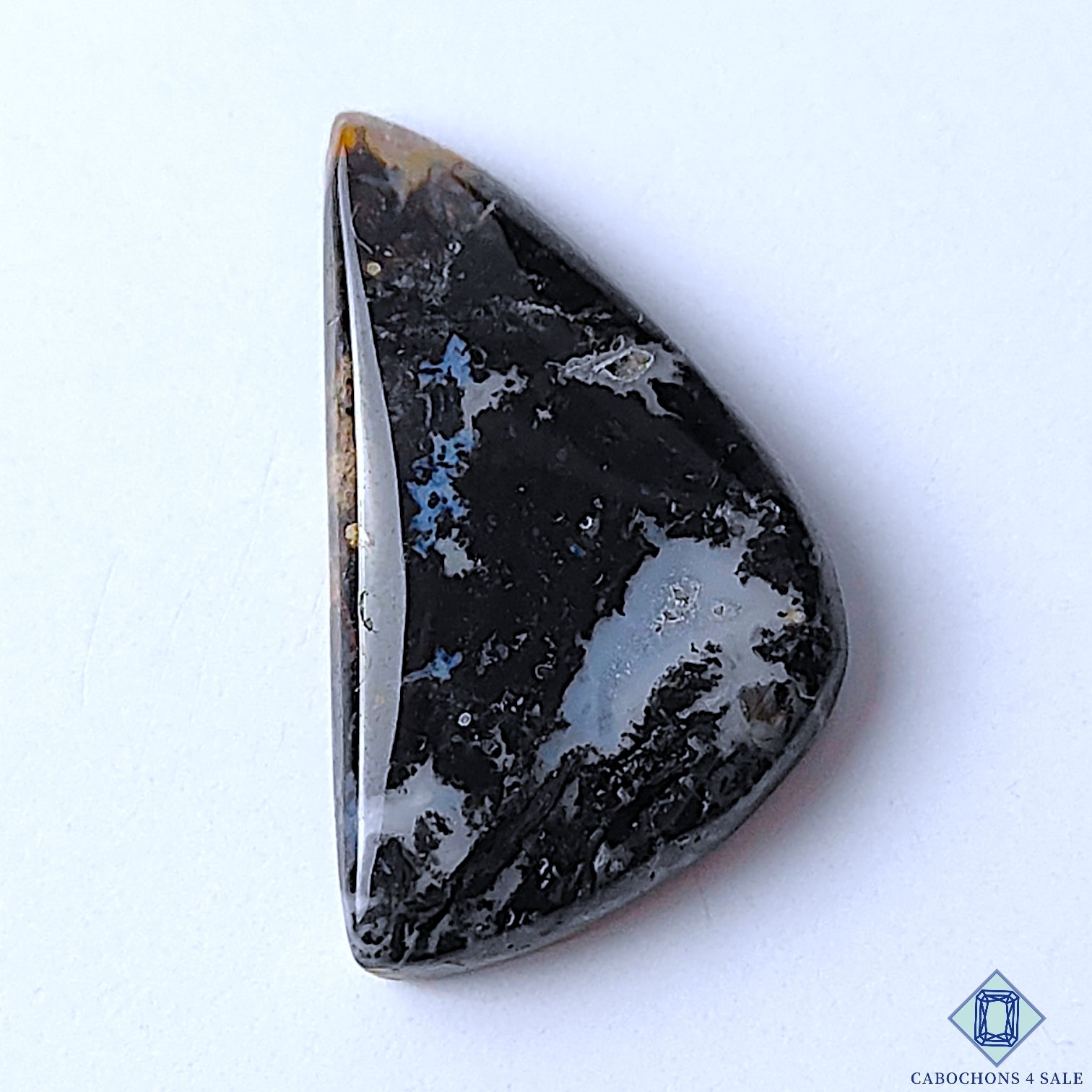 Palm Root Agate