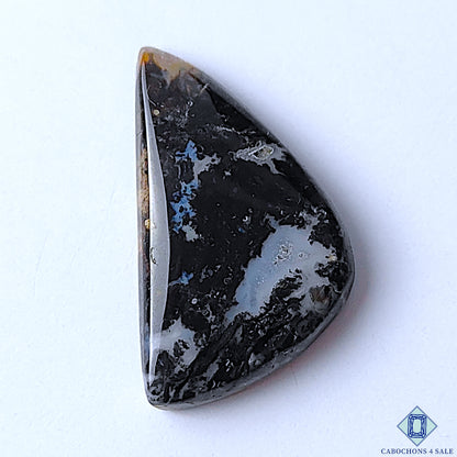 Palm Root Agate