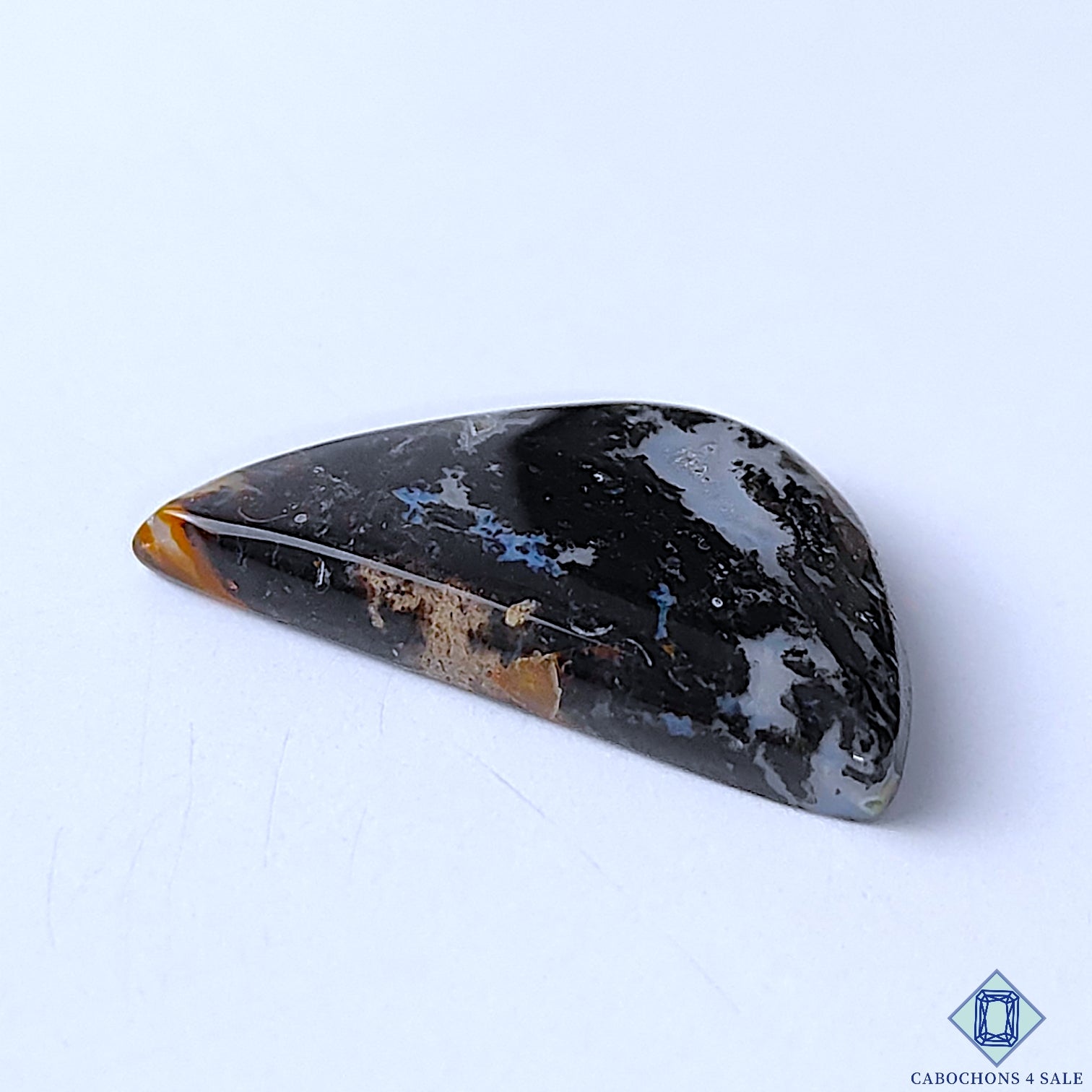 Palm Root Agate