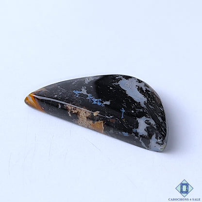 Palm Root Agate