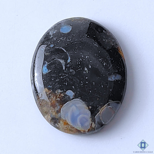 Palm Root Agate