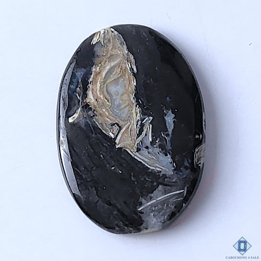 Palm Root Agate