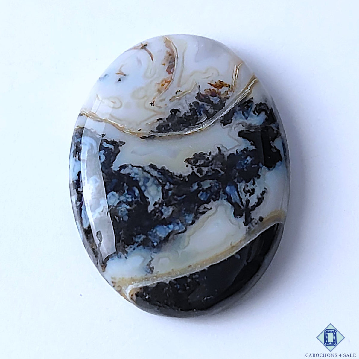 Palm Root Agate