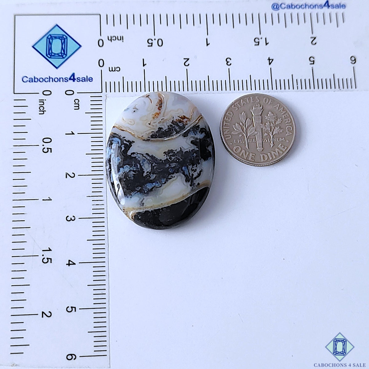 Palm Root Agate