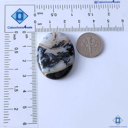 Palm Root Agate