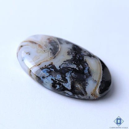 Palm Root Agate