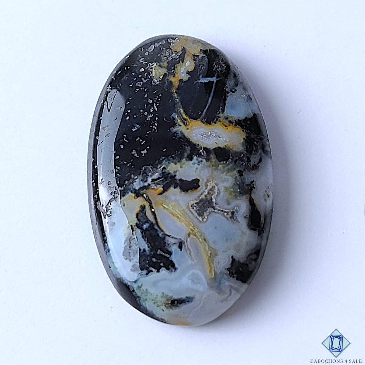 Palm Root Agate
