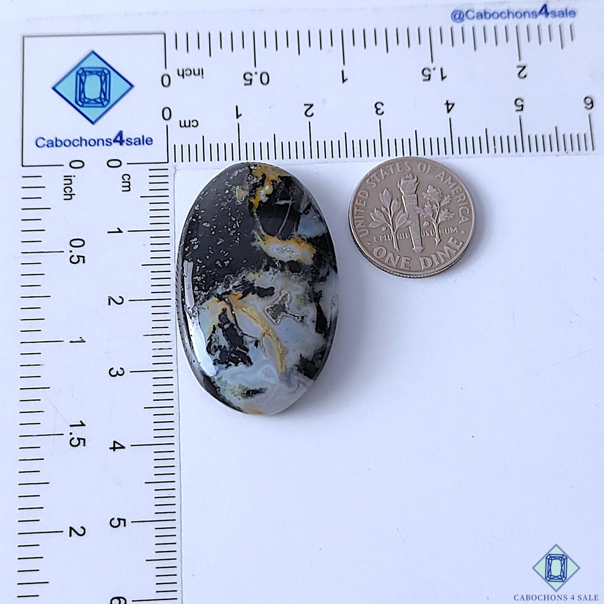 Palm Root Agate