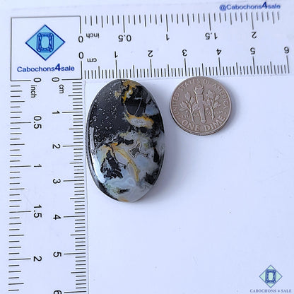 Palm Root Agate