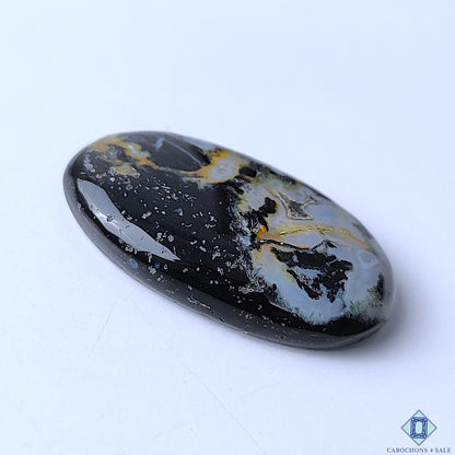 Palm Root Agate