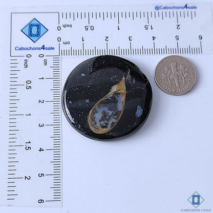Palm Root Agate