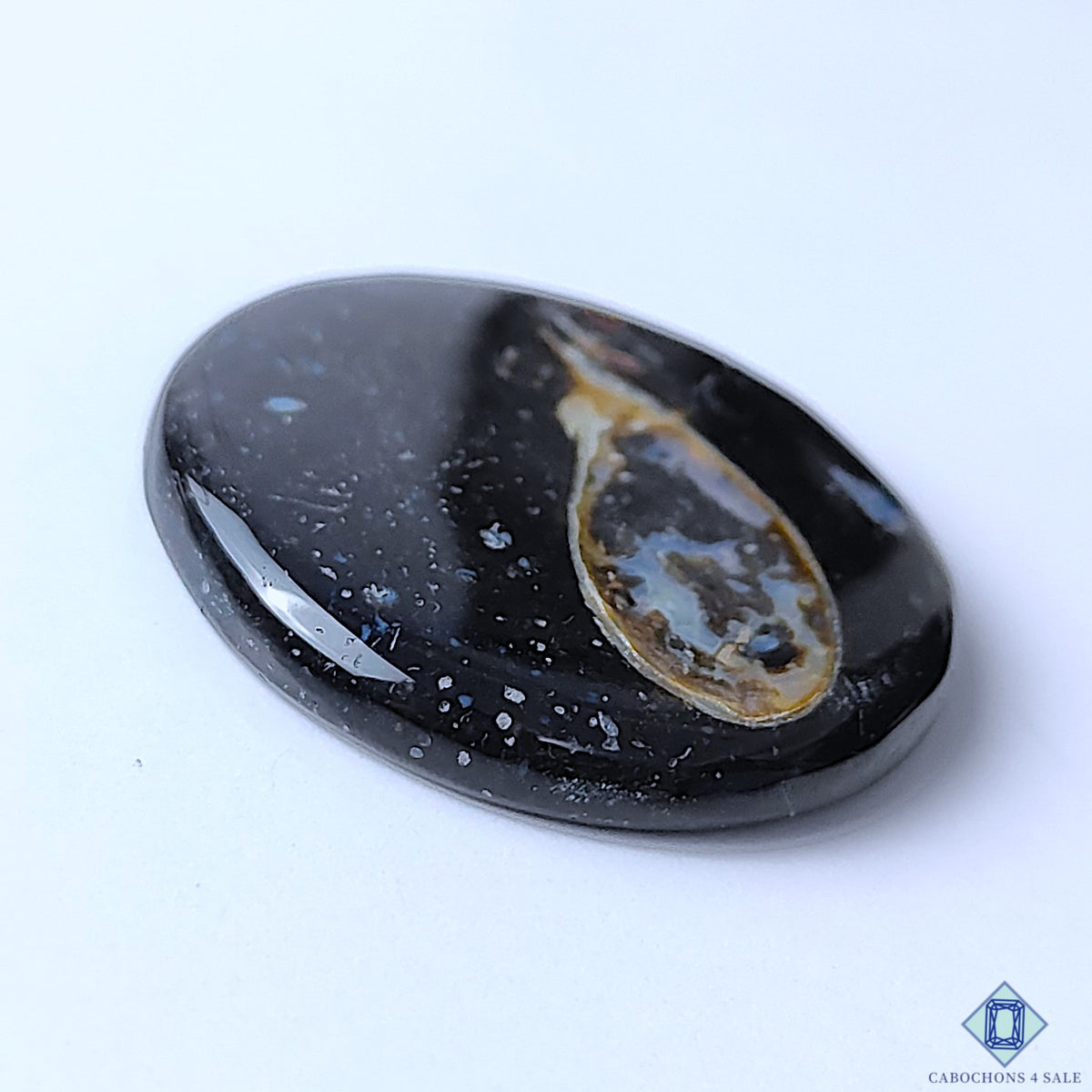 Palm Root Agate