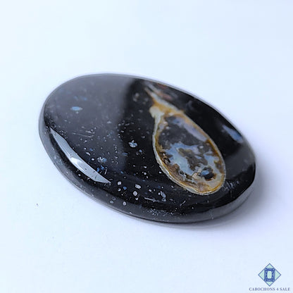 Palm Root Agate