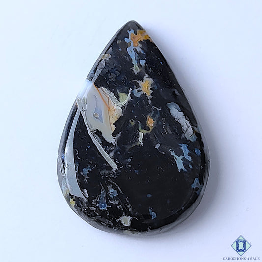 Palm Root Agate