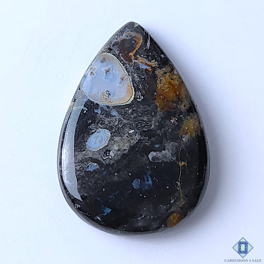 Palm Root Agate