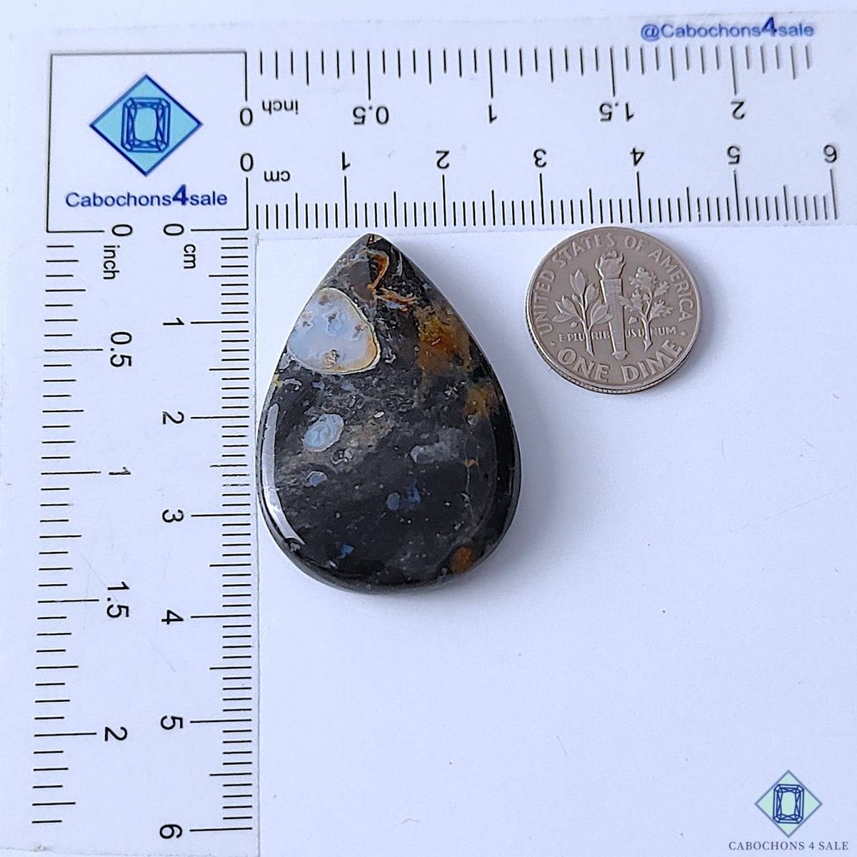 Palm Root Agate