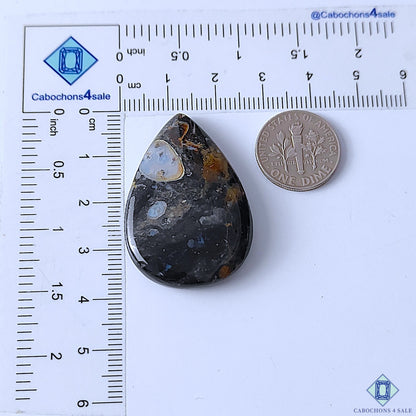 Palm Root Agate