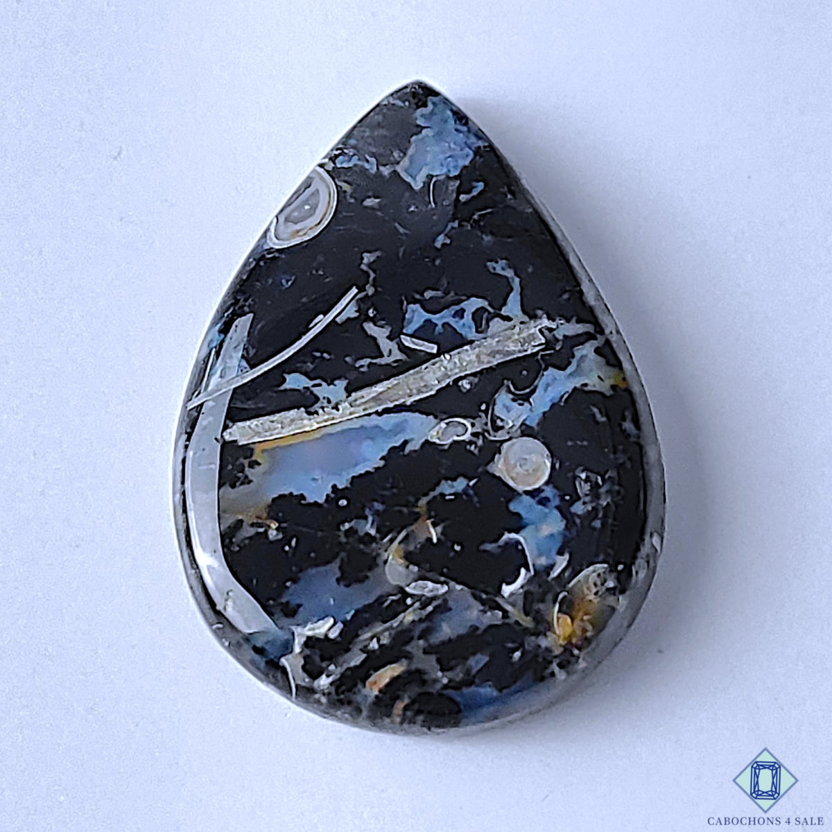 Palm Root Agate