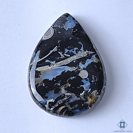 Palm Root Agate