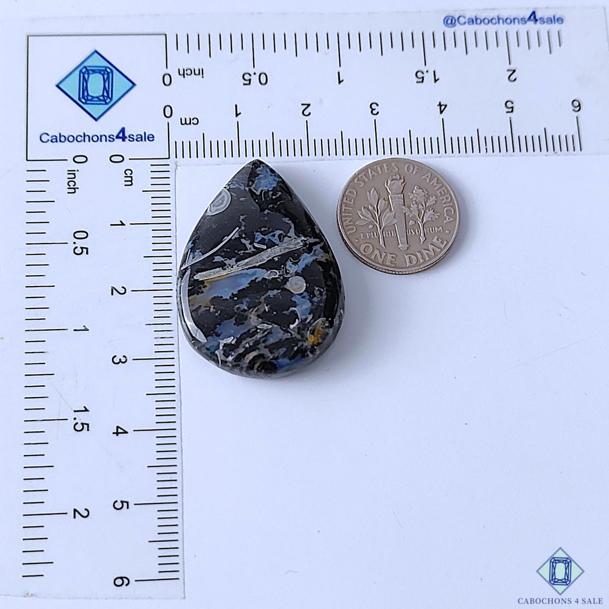 Palm Root Agate