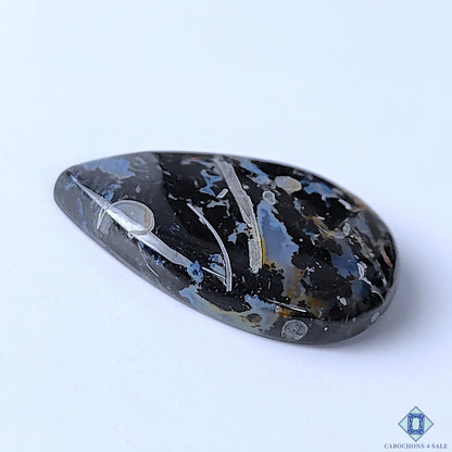 Palm Root Agate