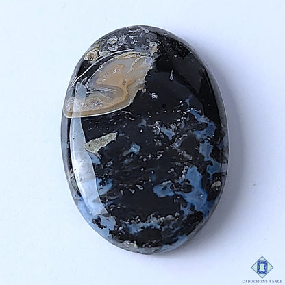 Palm Root Agate