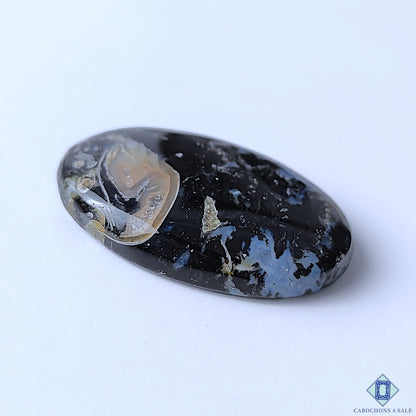 Palm Root Agate