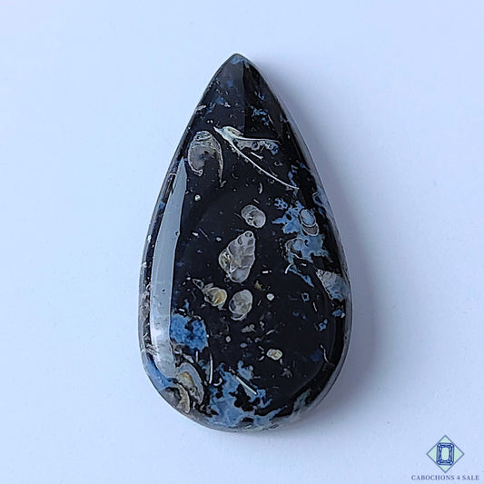 Palm Root Agate